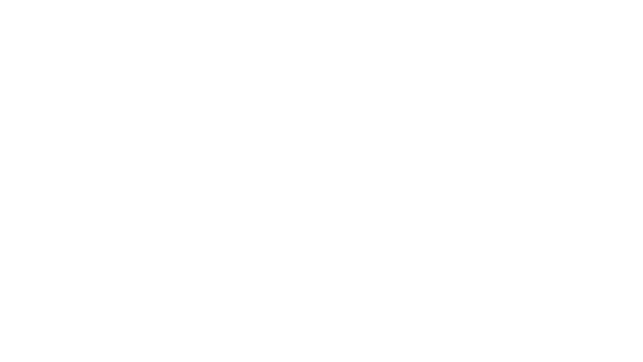 Brian Peace Logo Narrow